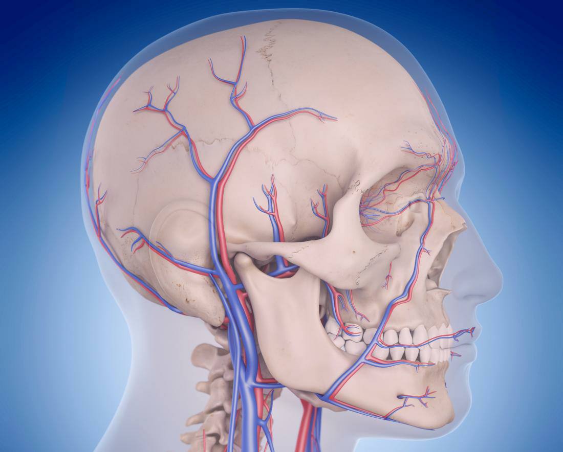 image-of-blood-flow-to-the-brain-and-vertebrobasilar-circulatory