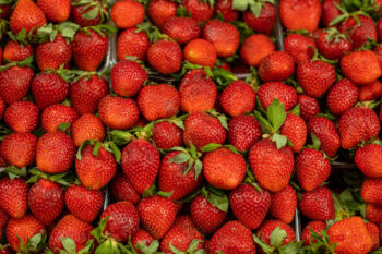 Aardbeien; de gezondheidsvoordelen
